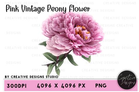 Watercolor Peony Flowers Graphic Set Graphic By Creative Designs · Creative Fabrica