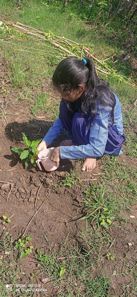 Tree Plantation India Ncc