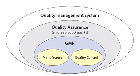 GMP LOGFILE: Lead Article - GMP-Verlag: Why is it Necessary to “Manage ...