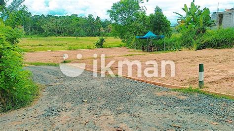 Land For Sale Piliyandala Kahathuduwa Ikman