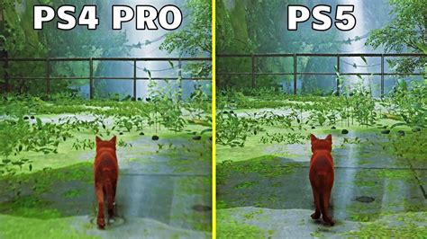 Stray Ps5 Vs Ps4 Pro Graphics Comparison 4k Youtube