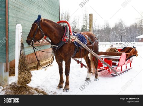 Winter Sleigh Rides Image And Photo Free Trial Bigstock