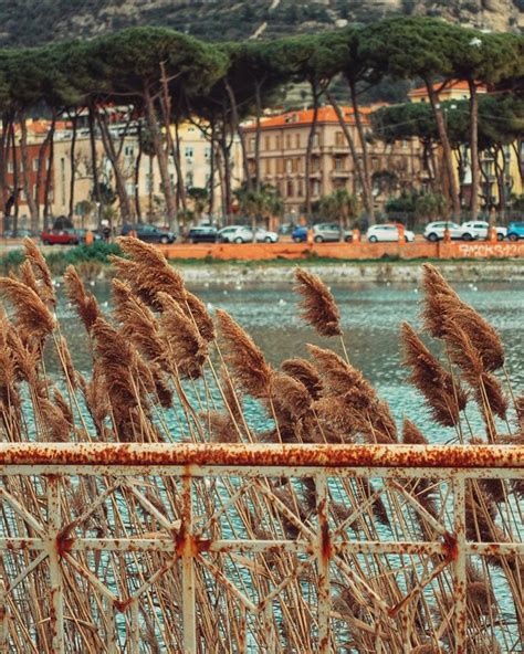 Ventimiglia La Meta Perfetta Per Il Vostro Servizio Fotografico