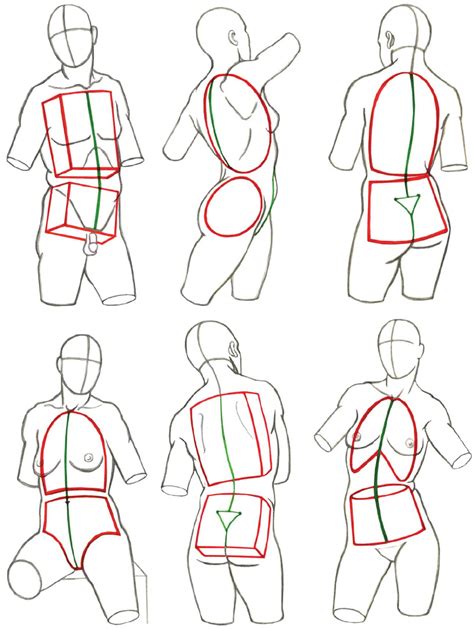 Human Anatomy Drawing Step By Step Drawing Human Draw Body Figure