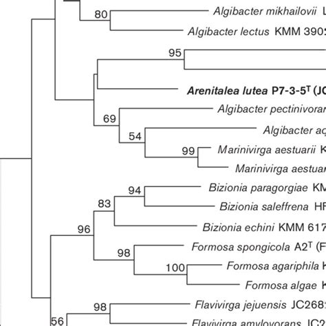 Neighbour Joining Phylogenetic Tree Based On 16s Rrna Gene Sequences