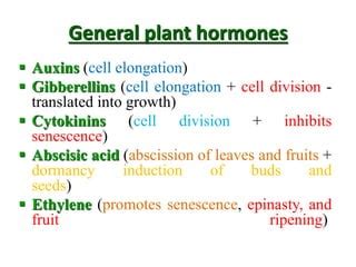 Plant Hormones PPT