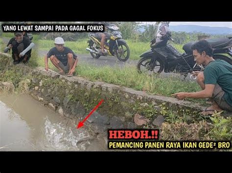 Gak Masuk Akal Mancing Di Selokan Pinggir Jalan Hasilnya Di Luar