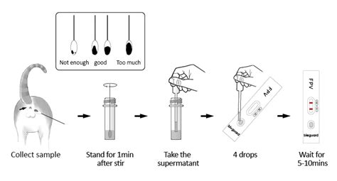 Feline Panleukopenia Fpv Ag Fcov Test Veterinary Cat Fpv Fcov Gia Rapid