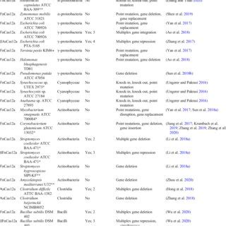 Overview of Cas12a applications for gene editing and regulation in ...