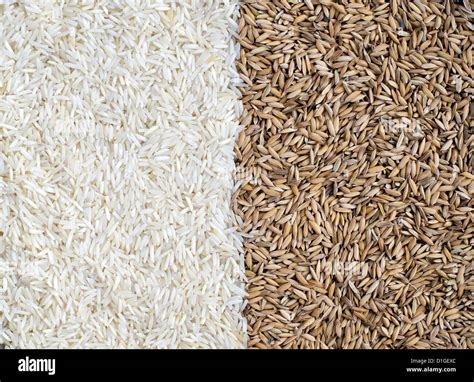 Grain Husk Hi Res Stock Photography And Images Alamy