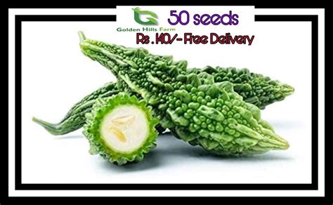 Golden Hills Farm 50 Seeds Bitter Gourd Seeds For Home Garden Amazon