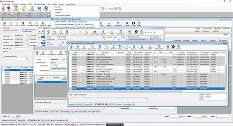 NCS Contabilidad Software Contabilidad Programa contabilidad asesorías