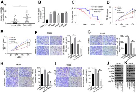 A Novel Circular Rna Dnah Inhibits Osteosarcoma Progression By