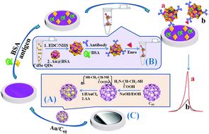 Sensitive Detection Of Enrofloxacin Using An Electrochemiluminescence