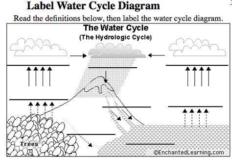 Label Water Cycle Diagram Diagram Quizlet