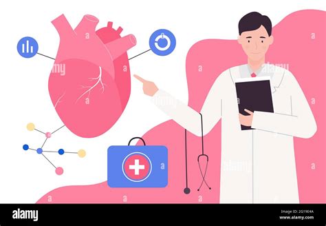 Medical Cardiology Examination Circulatory Cardiovascular System