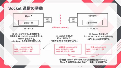 ソケット通信の仕組みをスライド図解と Go 実装でまとめてみる