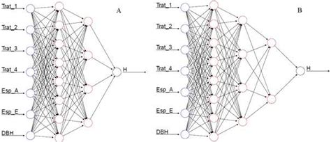 Scielo Brasil Artificial Neural Networks Ann For Height