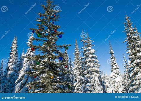 Decorated Seasonal Tree in a Winter Forest Stock Photo - Image of light ...