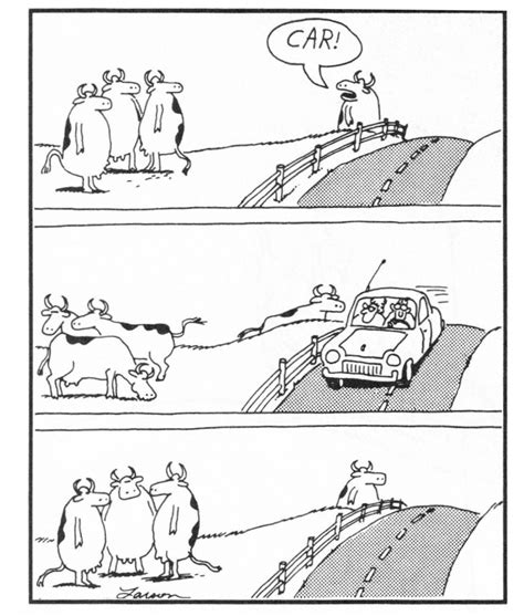 20 Funniest Far Side Comics That Perfectly Capture Gary Larsons Sense