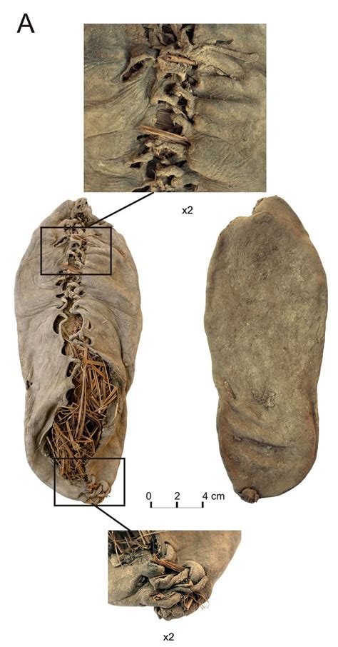 Oldest Leather Shoe Steps Out After 5500 Years Old Shoes Ancient