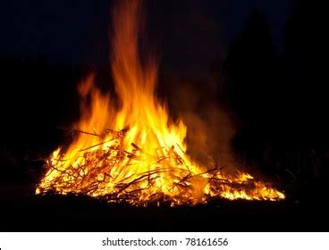 2,983 Burn Stake Images, Stock Photos & Vectors | Shutterstock