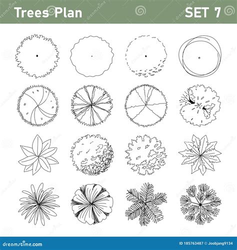 9 Tree Plan Top View Set6 Editorial Photography Illustration Of Circle