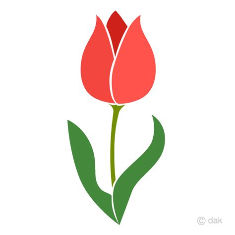 Tulip N Rosa Simple Gratis Dibujos Animados Im Geneillustoon Es