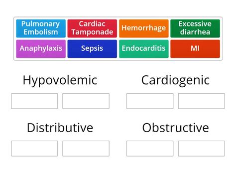 Types of Shock - Group sort