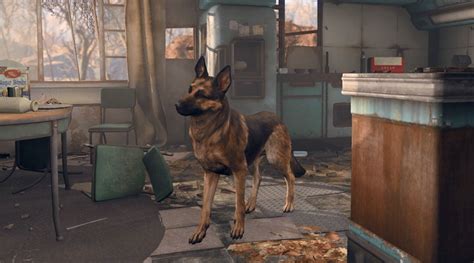 Fallout 4 Player Killed by Careless Dogmeat