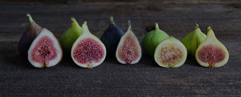 Fig Varieties 