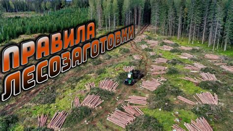 Правила лесозаготовки - YouTube