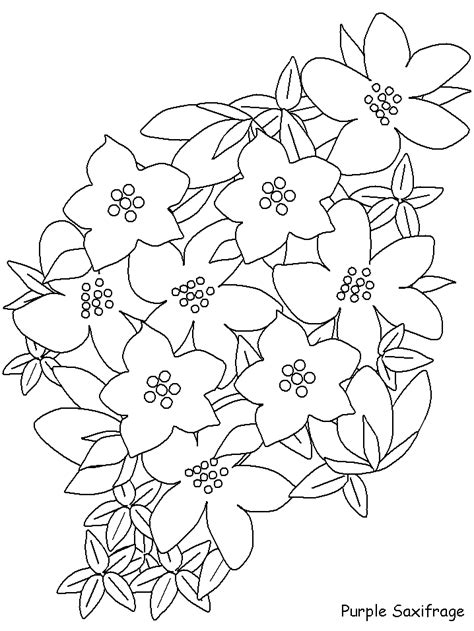 Purple Coloring Pages