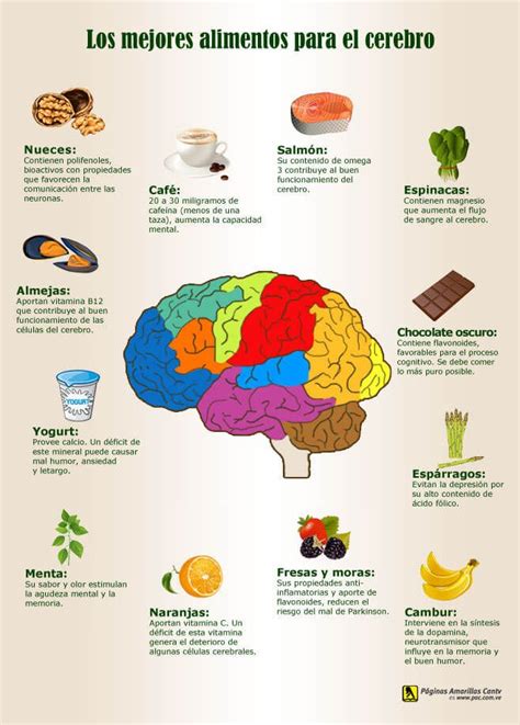 15 Infografías para Entrenar tu Mente y Mejorar tu Memoria Nutrición