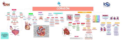 Coraz N Mapa Conceptual Ariana Gonzalez Udocz