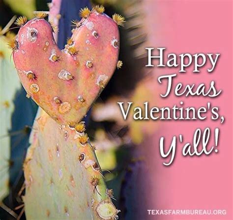 Heart Cactus Valentine Wishes Valentines Happy Valentines Day