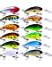 Best Crappie Crankbaits Currentyear Fisherman Journal