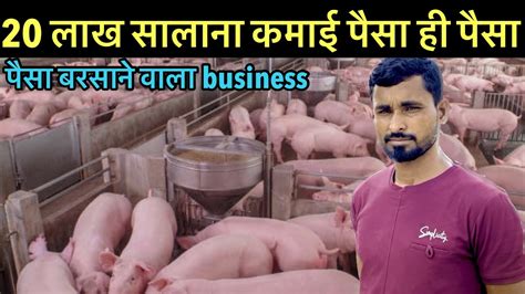 Biggest Pig Farm In IndiaPig Farming For BeginnersPig Farming YouTube