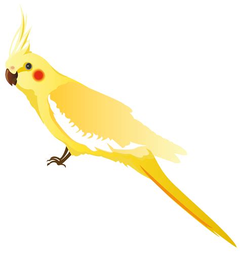 Yellow Parrot PNG Clipart - Best WEB Clipart