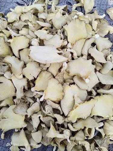 Dry Oyster Mushroom At Rs 580 Kilogram New Items In Ujjain ID