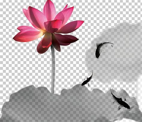 Ink Wash Painting Nelumbo Nucifera Png Clipart Chinese Style