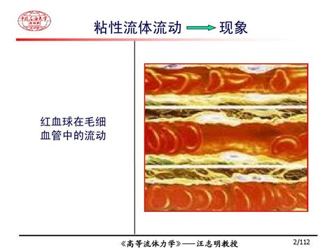 4 粘性流体层流流动 112word文档在线阅读与下载免费文档