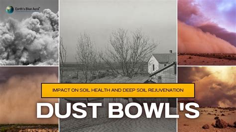 Dust Bowl's Impact On Soil Health And Deep Soil Rejuvenation