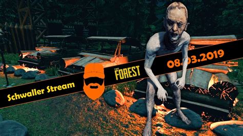 Schwaller Stream The Forest Livestream Wautscher