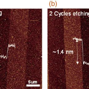 M Afm Scans Of Selectively Etched Mos Film With A Cycle