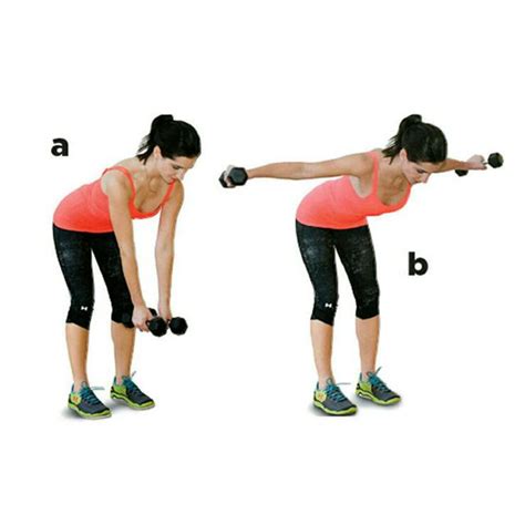 Rear Fly By Sonia R Exercise How To Skimble Workout Trainer