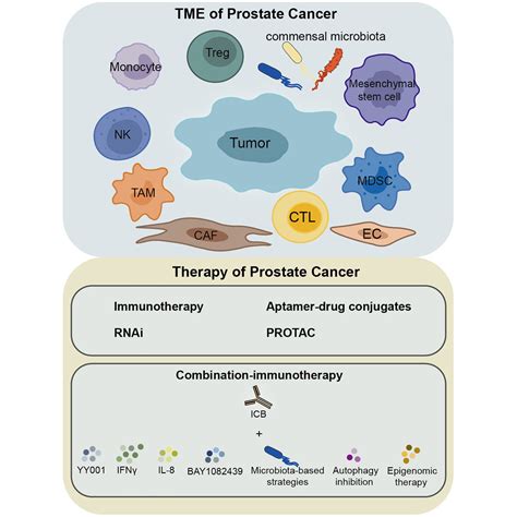 New Insights And Options Into The Mechanisms And Effects Of Combined