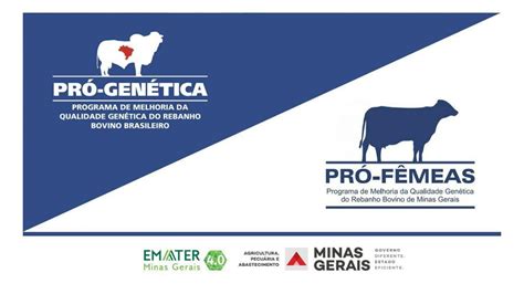 Pr Gen Tica E Pr F Meas Gen Tica Produtividade E Bons Neg Cios