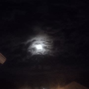 BITCH ASS HOES By Michael BandLab