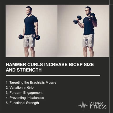 Hammer Curls Increase Bicep Size And Strength AlphaFitness